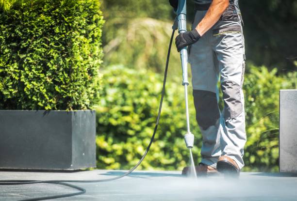 Best Driveway Pressure Washing  in , NC